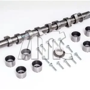 Zestaw wału rozrządu AMC 666891K Oferta